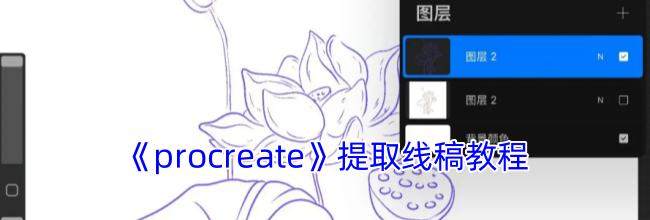 《procreate》线稿提取教程