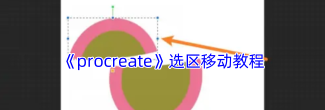 《procreate》选区移动教程