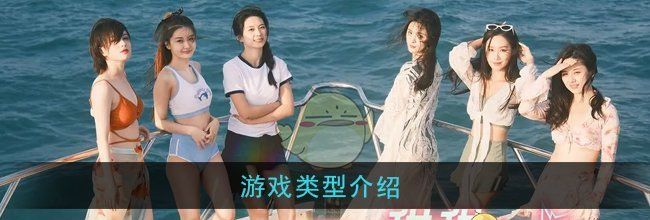 《怦然心动的瞬间》游戏类型介绍