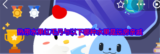热带水果红毛丹与以下哪种水果是远房亲戚