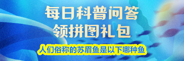 人们俗称的苏眉鱼是以下哪种鱼