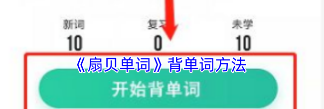 《扇贝单词》背单词方法