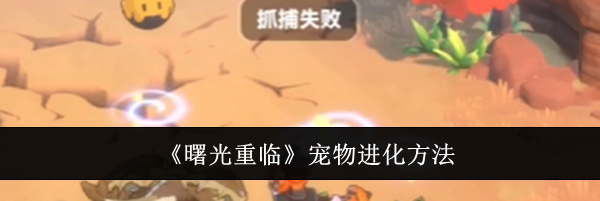 《曙光重临》宠物进化方法