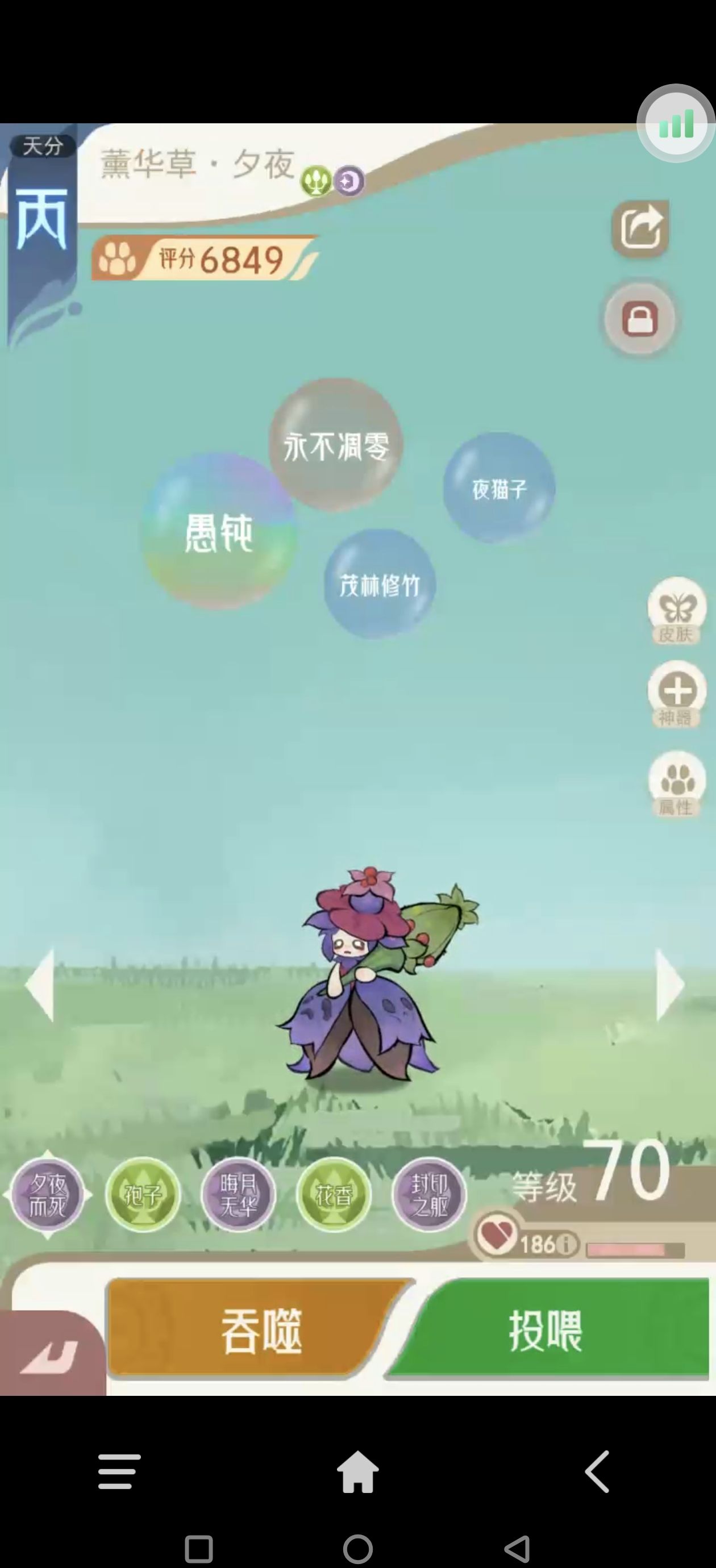 《山海进化录》全宠物技能配招推荐
