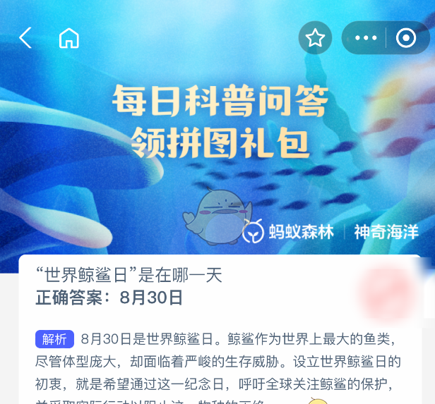世界鲸鲨日是在哪一天