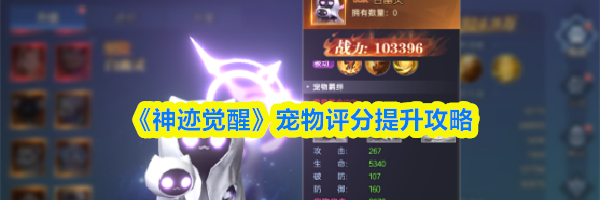 《神迹觉醒》宠物评分提升攻略