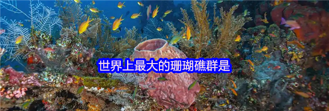 世界上最大的珊瑚礁群是
