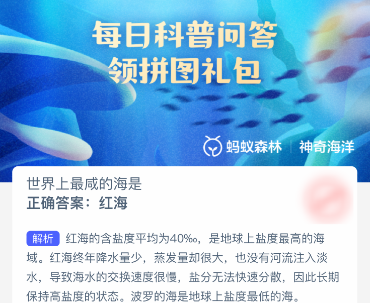 世界上最咸的海是