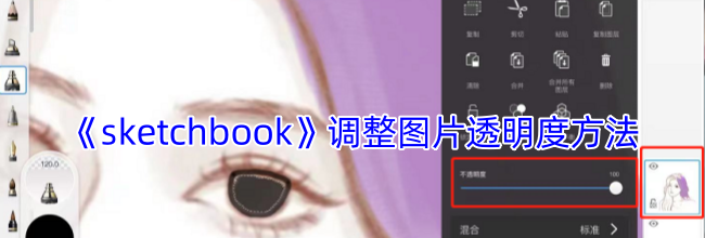 《sketchbook》调整图片透明度方法