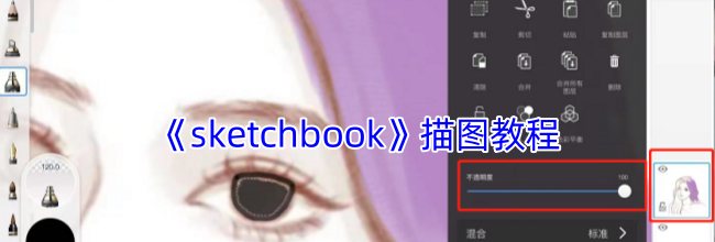 《sketchbook》描图教程