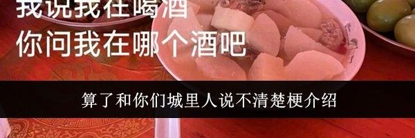 算了和你们城里人说不清楚梗介绍