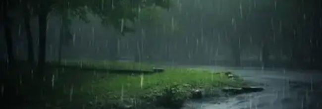 时雨天气查看降雨日期表方法