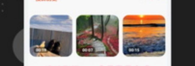 速映影视app会员登录方式