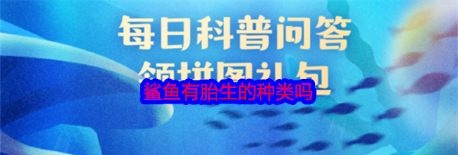 鲨鱼有胎生的种类吗