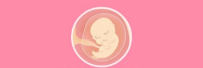 胎教精灵app使用指南