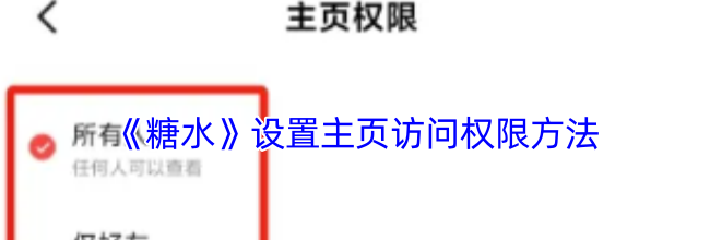 《糖水》设置主页访问权限方法