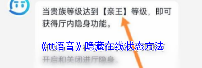 《tt语音》隐藏在线状态方法