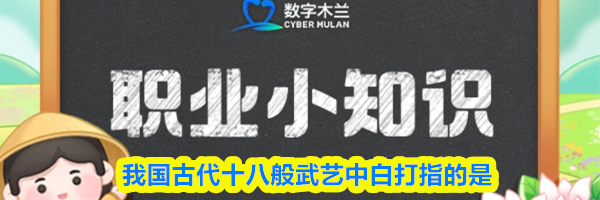 我国古代十八般武艺中白打指的是