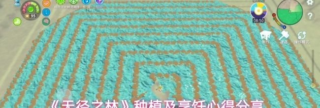 《无径之林》种植及烹饪心得分享