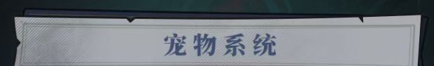 无限轮回宠物系统指南