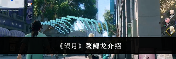 《望月》鳌鲤龙介绍