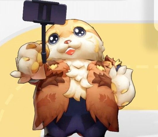 《望月》建程猫月灵职能介绍