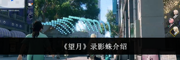 《望月》录影蛛介绍