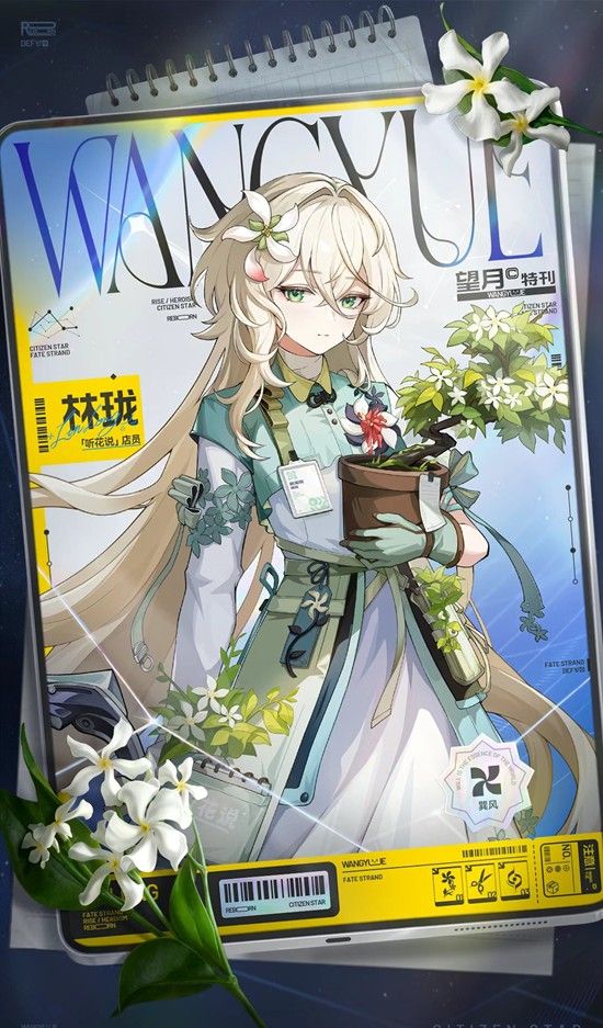 《望月》听花说店员林珑介绍