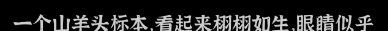文字密室逃脱：恶魔仪式DLC 图文攻略