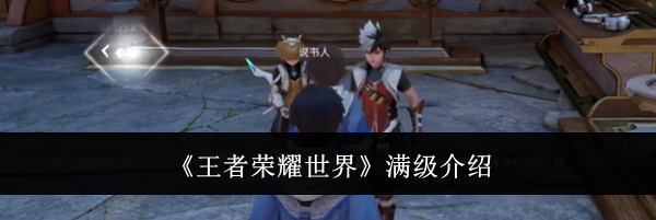 《王者荣耀世界》满级介绍