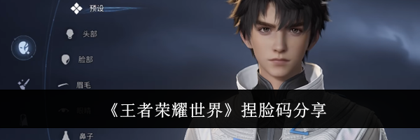 《王者荣耀世界》捏脸码分享