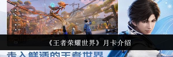 《王者荣耀世界》月卡介绍