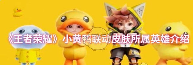《王者荣耀》小黄鸭联动皮肤所属英雄介绍