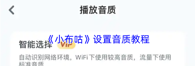 《小布咕》设置音质教程