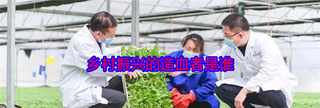 乡村振兴的造血者是谁