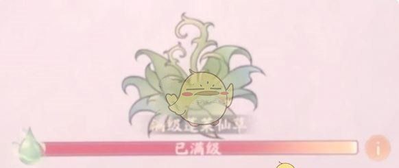 《寻道大千》蓬莱仙岛打法攻略