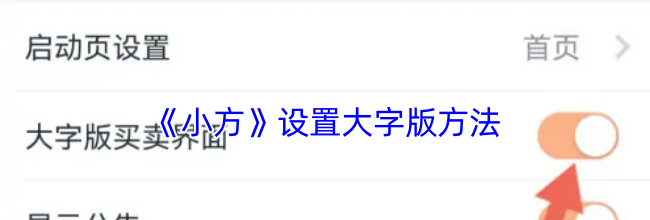 《小方》设置大字版方法