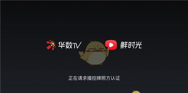 西瓜视频电视版叫什么