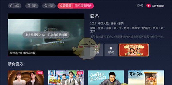 西瓜视频电视版叫什么
