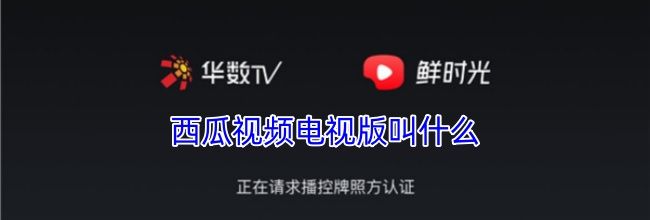 西瓜视频电视版叫什么