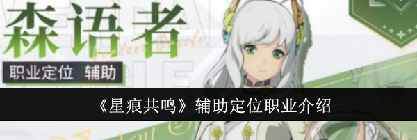 《星痕共鸣》辅助定位职业介绍