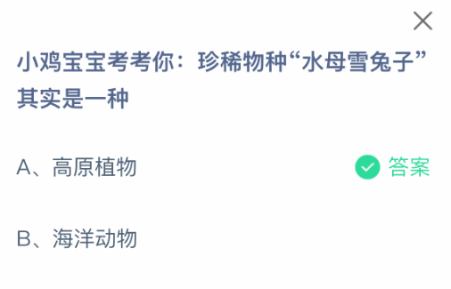 小鸡宝宝考考你：珍稀物种“水母雪兔子”其实是一种
