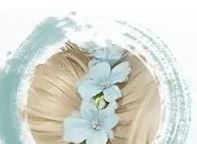 《仙剑世界》花楹技能介绍