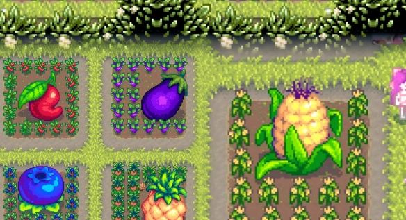 《星露谷物语》巨大作物种植方法
