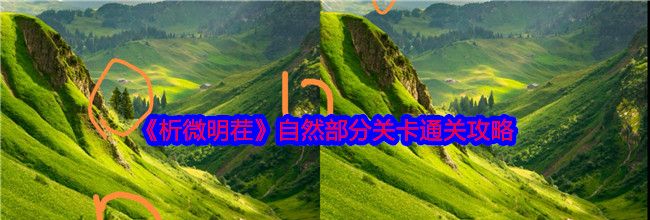 《析微明茬》自然部分关卡通关攻略