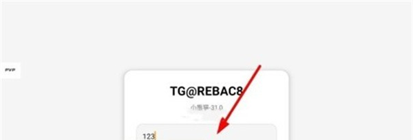 小熊猫辅助器app开启辅助教程