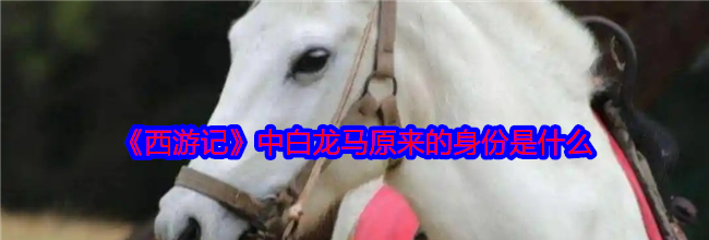 《西游记》中白龙马原来的身份是什么