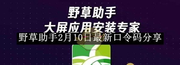 《野草助手》2月10日最新口令码分享