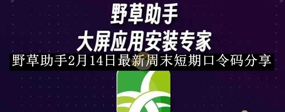 《野草助手》2月14日最新周末短期口令码分享
