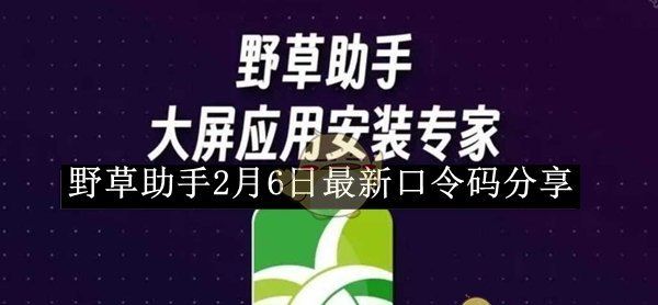 《野草助手》2月6日最新口令码分享